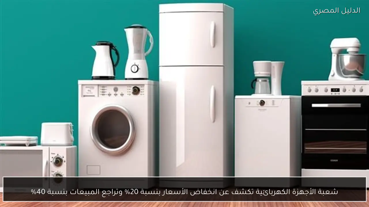 شعبة الأجهزة الكهربائية تكشف عن انخفاض الأسعار بنسبة 20% وتراجع المبيعات بنسبة 40%