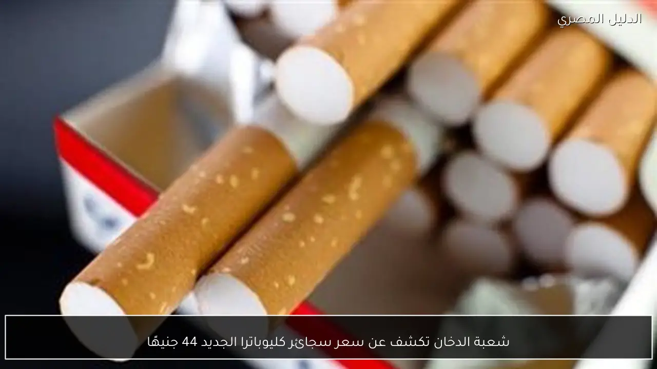 شعبة الدخان تكشف عن سعر سجائر كليوباترا الجديد 44 جنيهًا