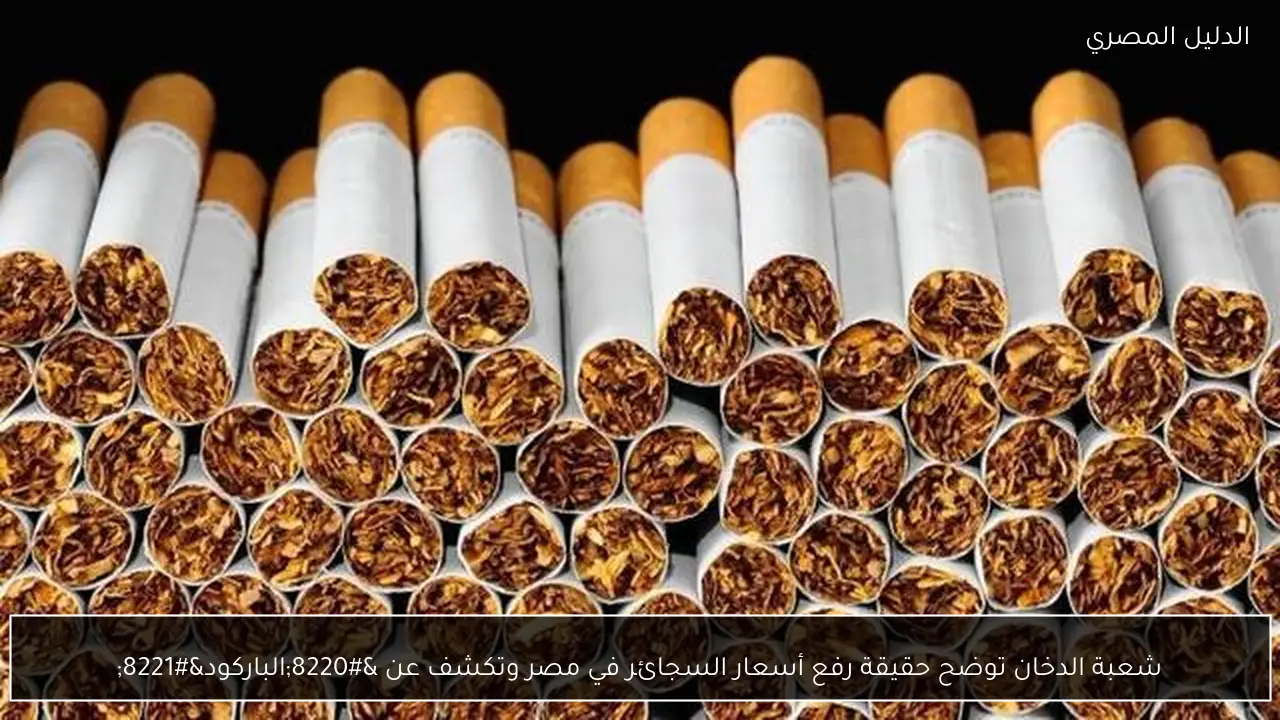 شعبة الدخان توضح حقيقة رفع أسعار السجائر في مصر وتكشف عن “الباركود”