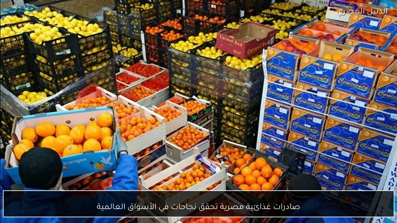 صادرات غذائية مصرية تحقق نجاحات في الأسواق العالمية