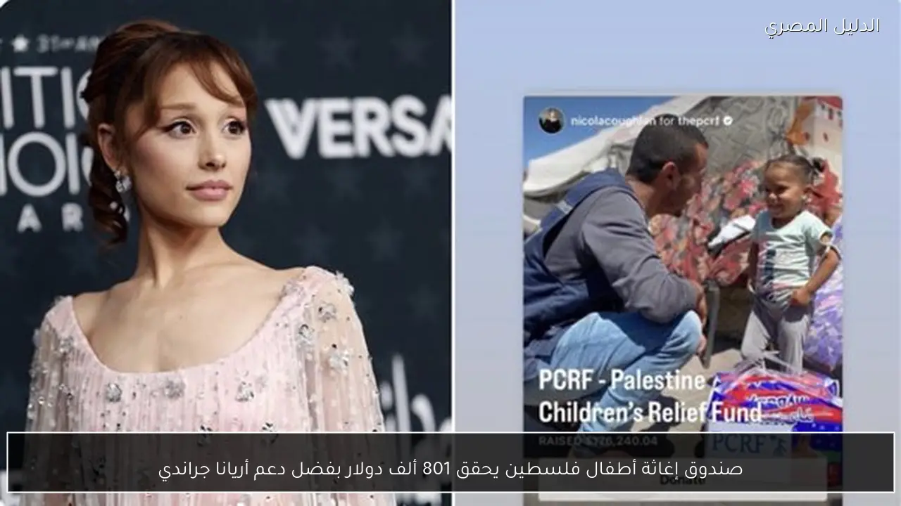 صندوق إغاثة أطفال فلسطين يحقق 801 ألف دولار بفضل دعم أريانا جراندي