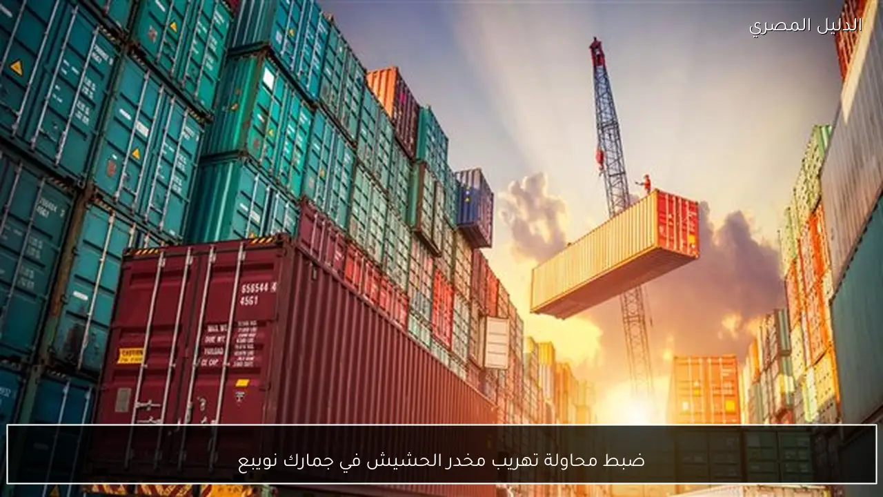 ضبط محاولة تهريب مخدر الحشيش في جمارك نويبع