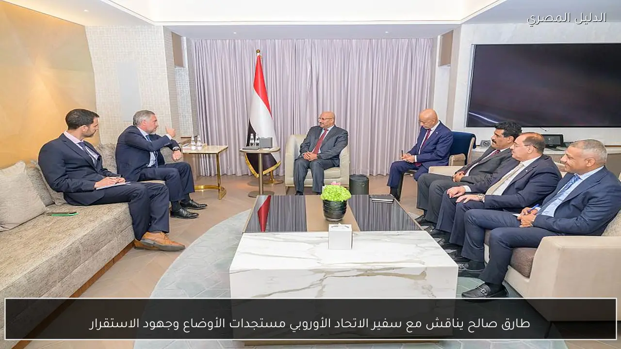 طارق صالح يناقش مع سفير الاتحاد الأوروبي مستجدات الأوضاع وجهود الاستقرار