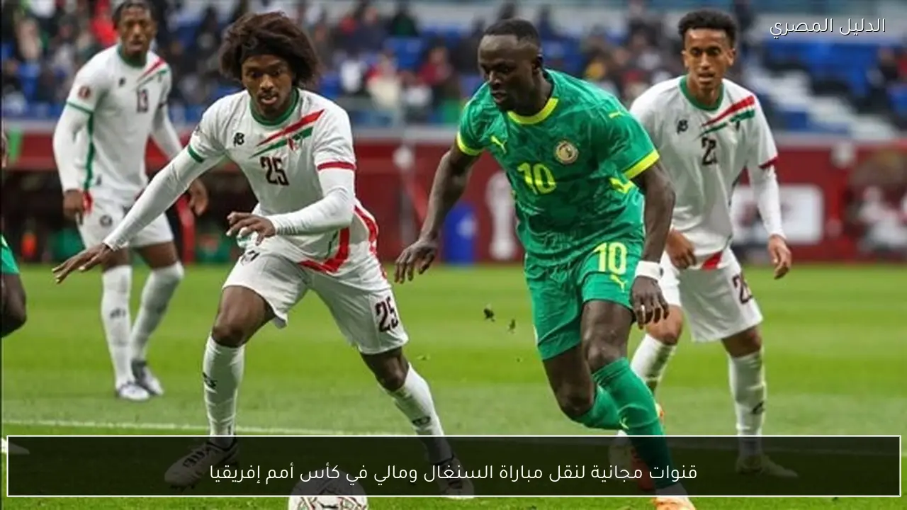 قنوات مجانية لنقل مباراة السنغال ومالي في كأس أمم إفريقيا