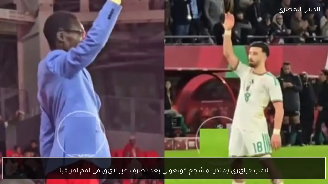 لاعب جزائري يعتذر لمشجع كونغولي بعد تصرف غير لائق في أمم أفريقيا