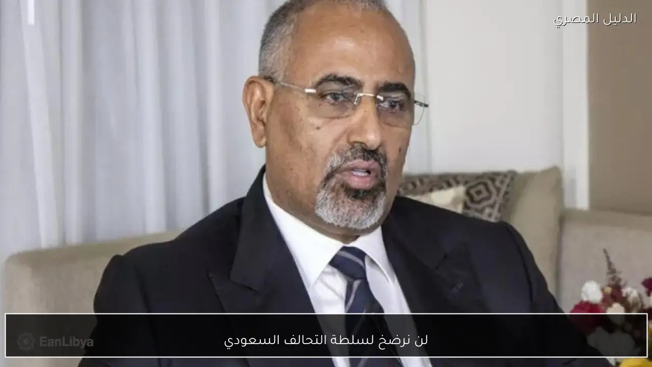 لن نرضخ لسلطة التحالف السعودي