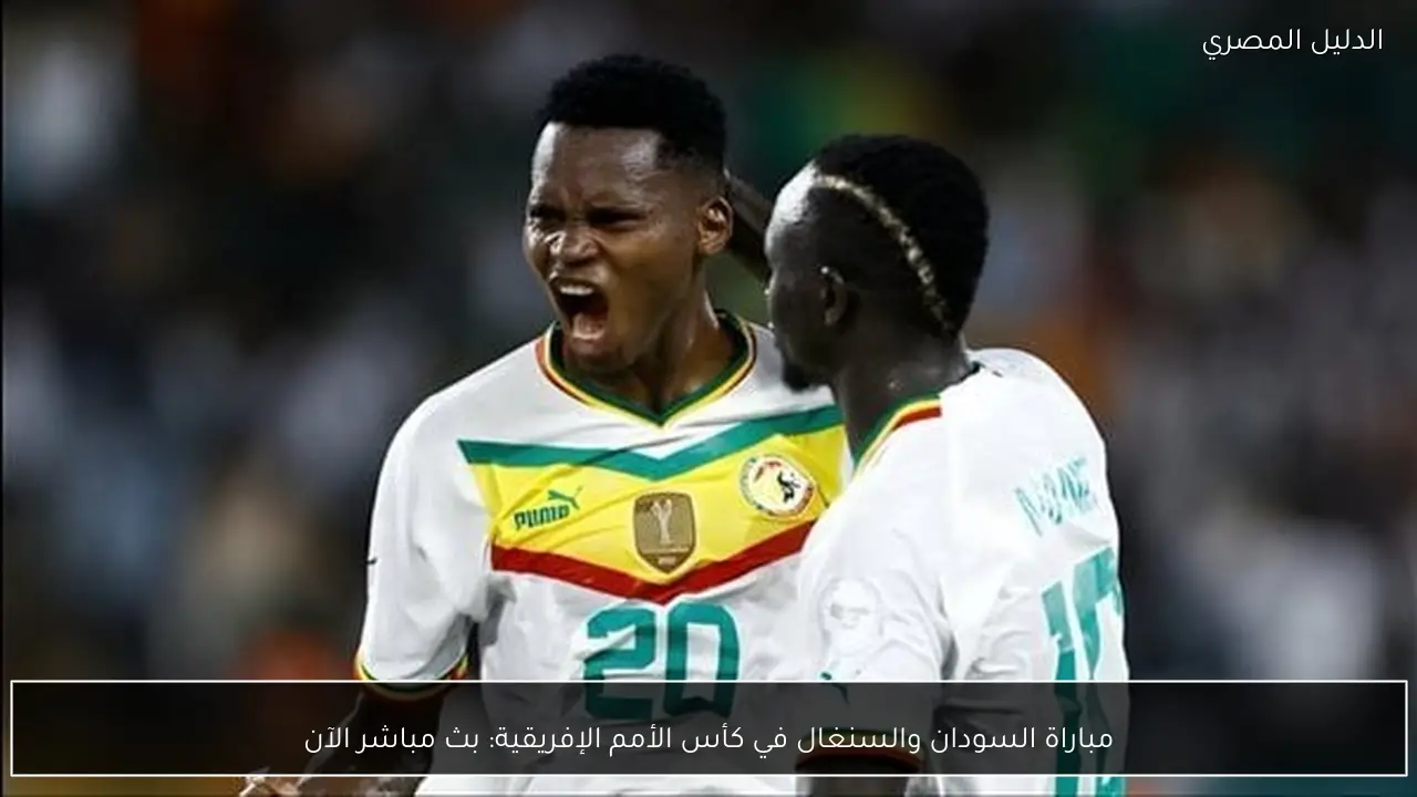 مباراة السودان والسنغال في كأس الأمم الإفريقية: بث مباشر الآن