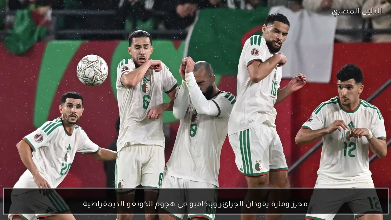 محرز ومازة يقودان الجزائر وباكامبو في هجوم الكونغو الديمقراطية