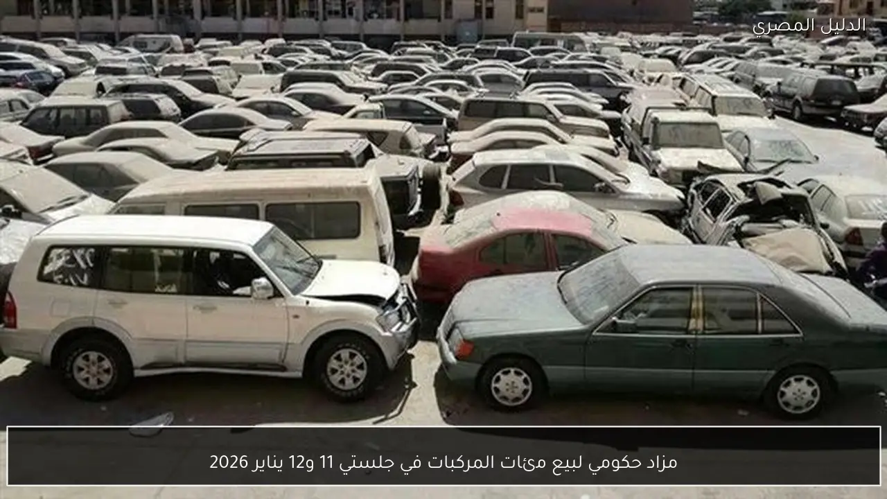 مزاد حكومي لبيع مئات المركبات في جلستي 11 و12 يناير 2026