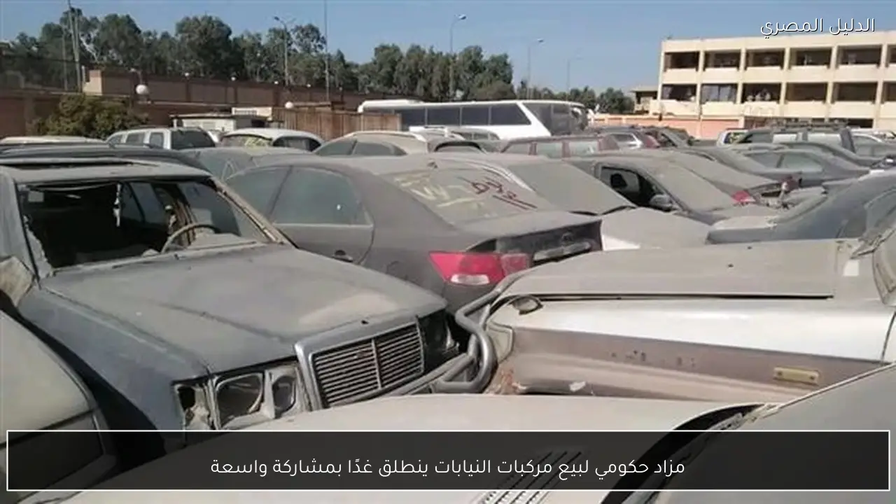 مزاد حكومي لبيع مركبات النيابات ينطلق غدًا بمشاركة واسعة