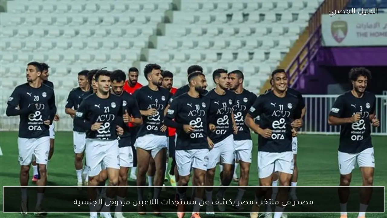 مصدر في منتخب مصر يكشف عن مستجدات اللاعبين مزدوجي الجنسية