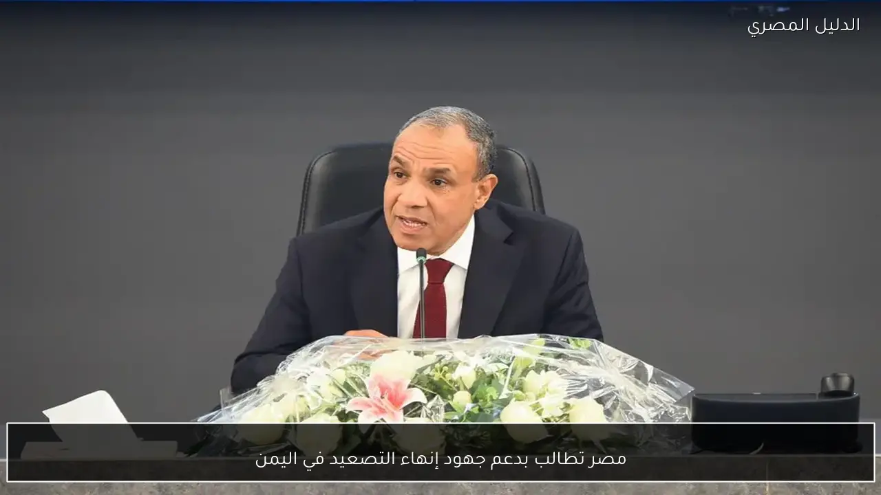 مصر تطالب بدعم جهود إنهاء التصعيد في اليمن
