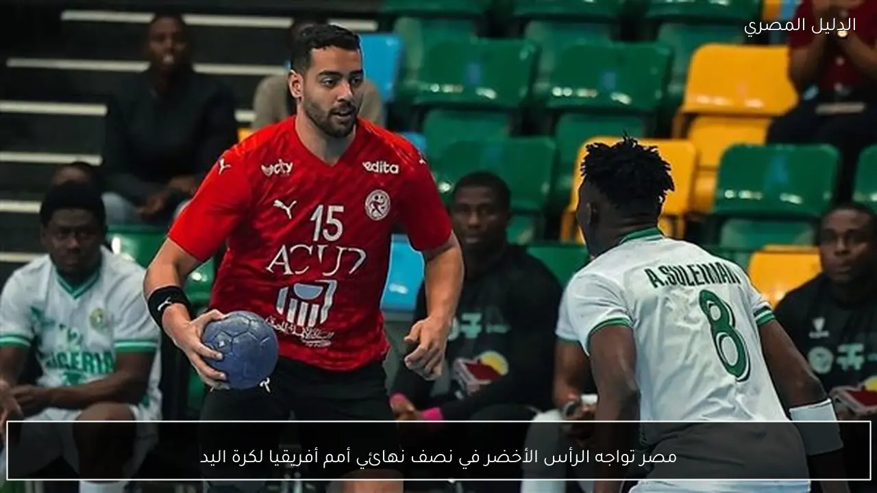 مصر تواجه الرأس الأخضر في نصف نهائي أمم أفريقيا لكرة اليد