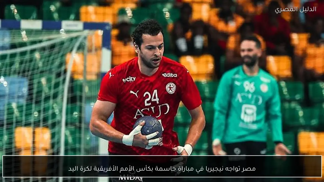 مصر تواجه نيجيريا في مباراة حاسمة بكأس الأمم الأفريقية لكرة اليد