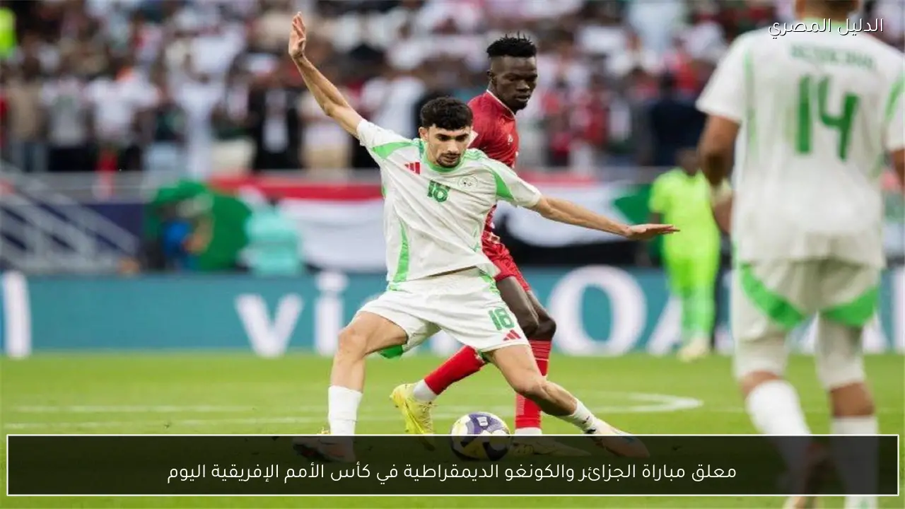 معلق مباراة الجزائر والكونغو الديمقراطية في كأس الأمم الإفريقية اليوم