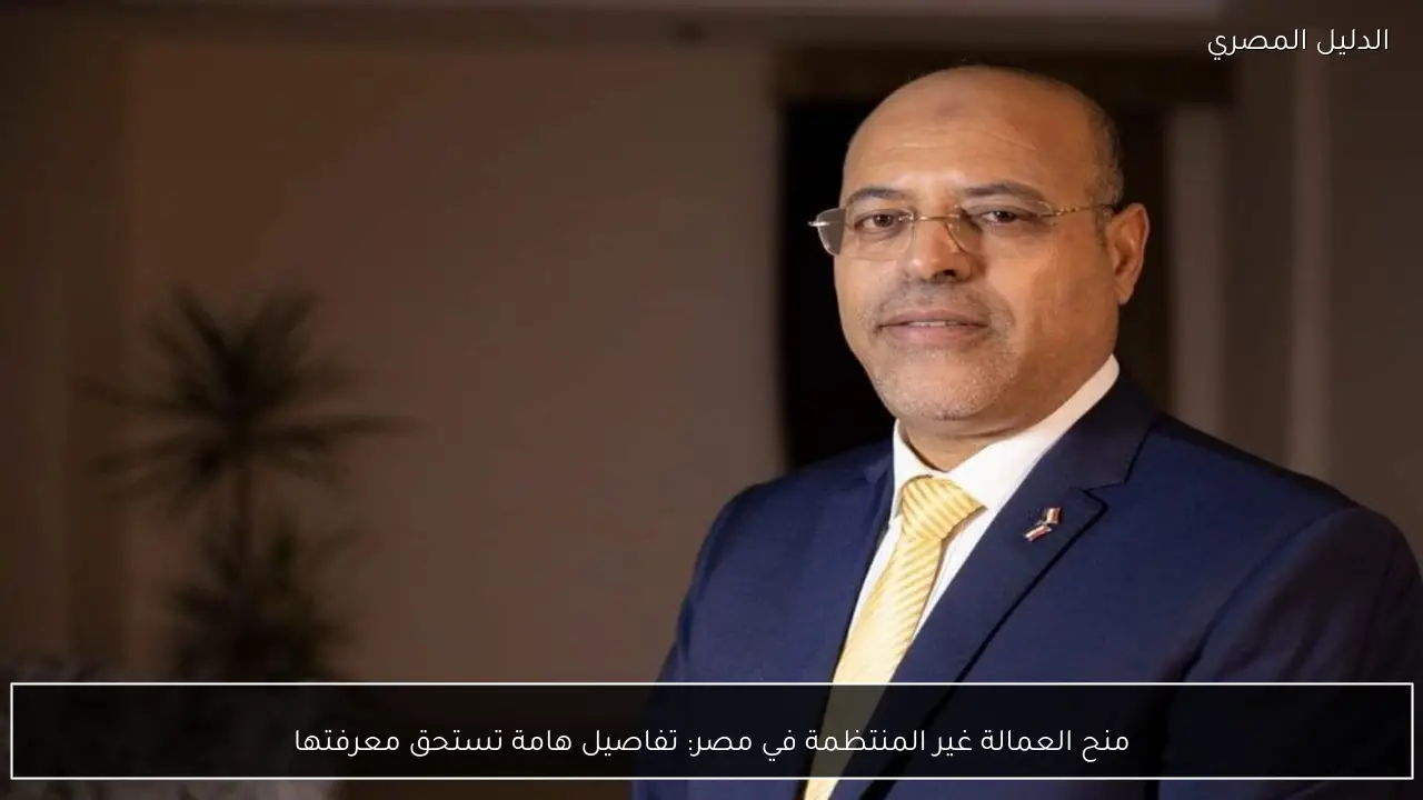 منح العمالة غير المنتظمة في مصر: تفاصيل هامة تستحق معرفتها