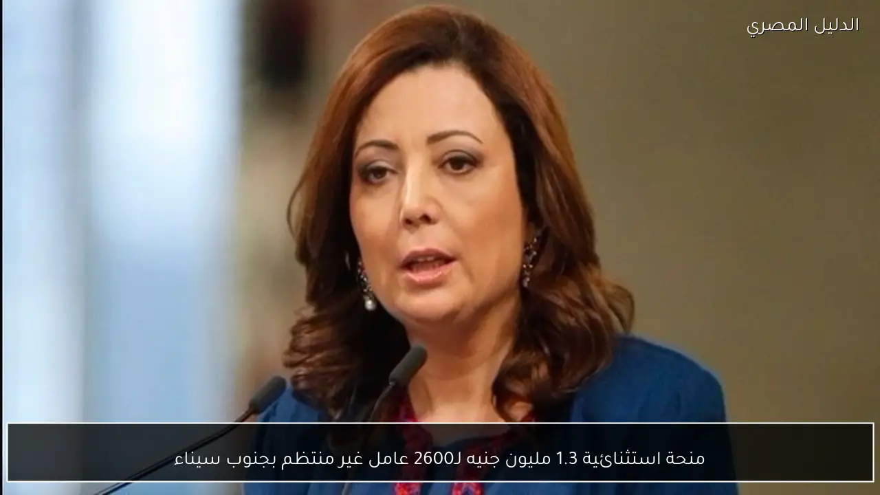 منحة استثنائية 1.3 مليون جنيه لـ2600 عامل غير منتظم بجنوب سيناء