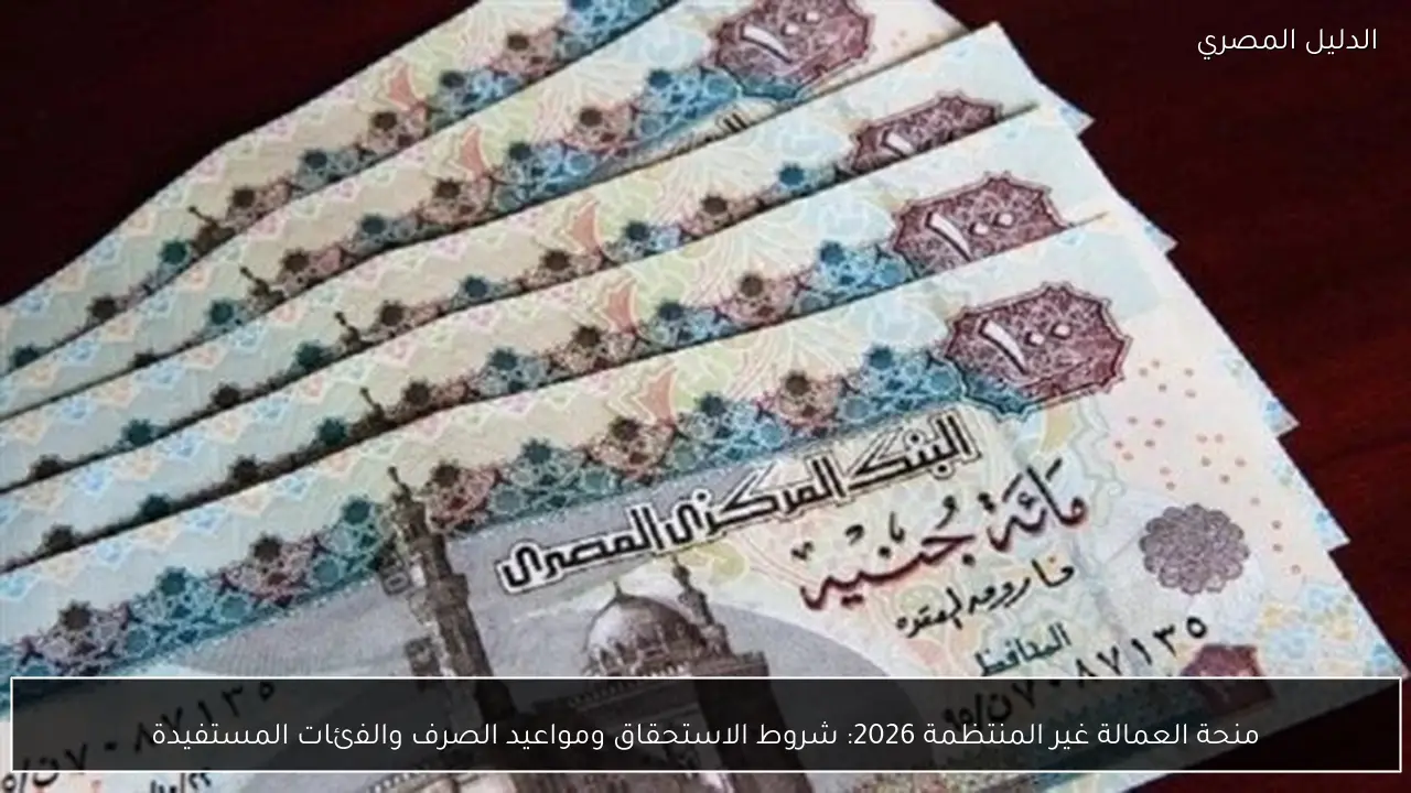 منحة العمالة غير المنتظمة 2026: شروط الاستحقاق ومواعيد الصرف والفئات المستفيدة