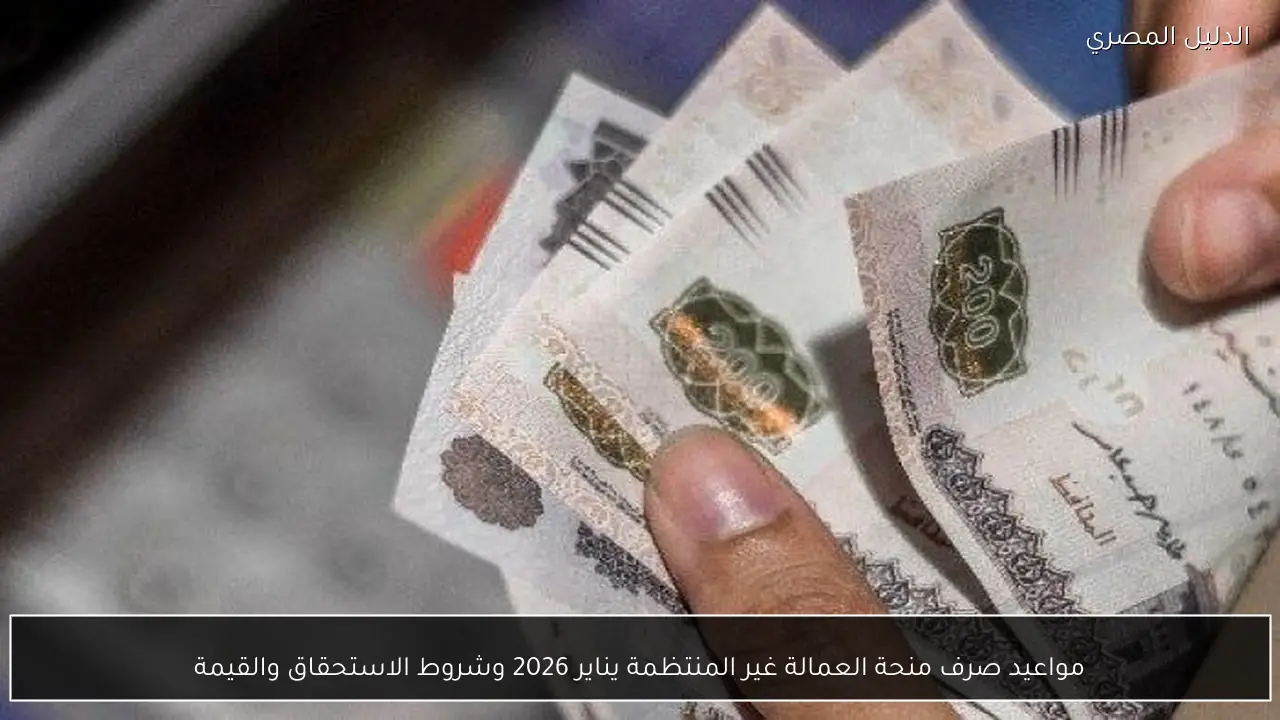 مواعيد صرف منحة العمالة غير المنتظمة يناير 2026 وشروط الاستحقاق والقيمة