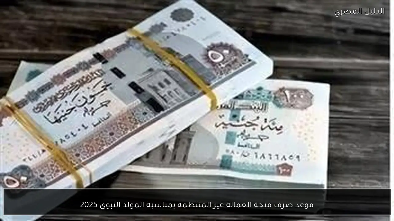 موعد صرف منحة العمالة غير المنتظمة بمناسبة المولد النبوي 2025