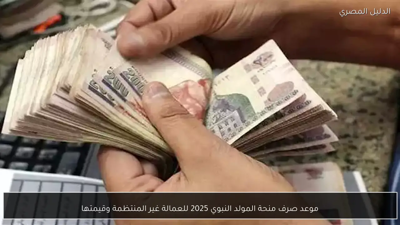 موعد صرف منحة المولد النبوي 2025 للعمالة غير المنتظمة وقيمتها
