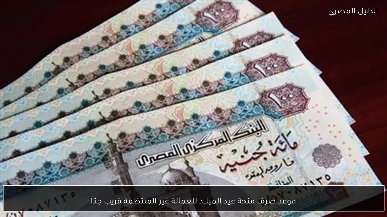 موعد صرف منحة عيد الميلاد للعمالة غير المنتظمة قريب جدًا