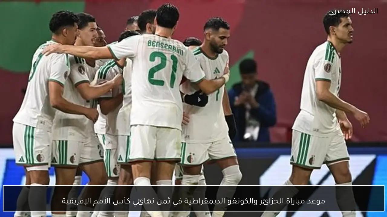 موعد مباراة الجزائر والكونغو الديمقراطية في ثمن نهائي كأس الأمم الإفريقية