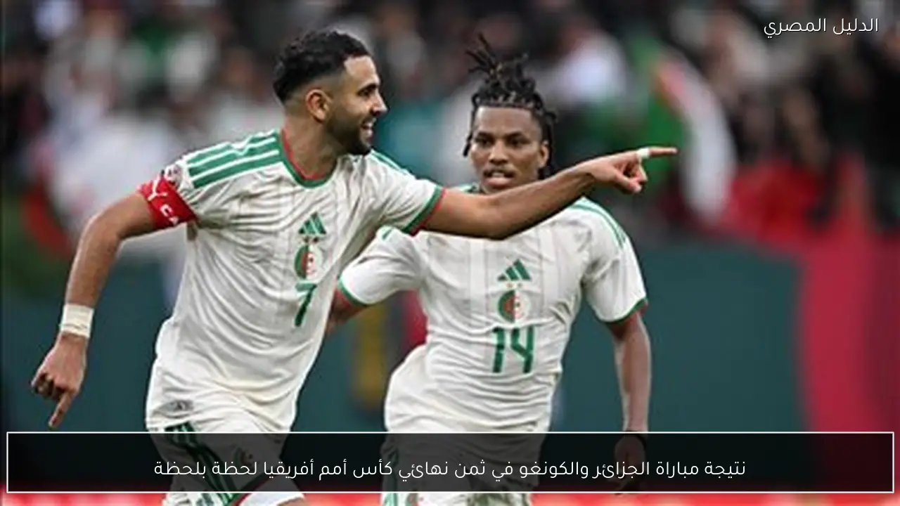 نتيجة مباراة الجزائر والكونغو في ثمن نهائي كأس أمم أفريقيا لحظة بلحظة