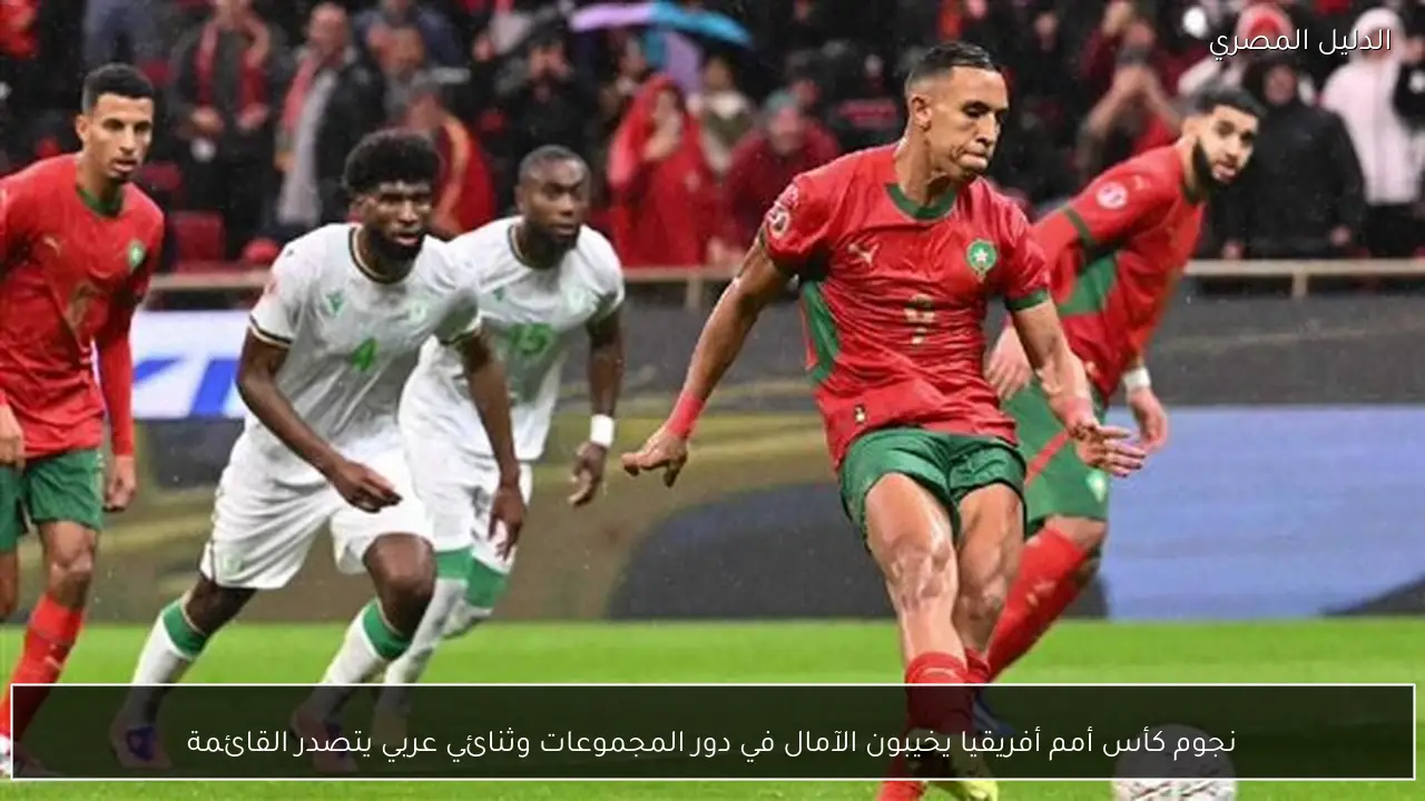 نجوم كأس أمم أفريقيا يخيبون الآمال في دور المجموعات وثنائي عربي يتصدر القائمة