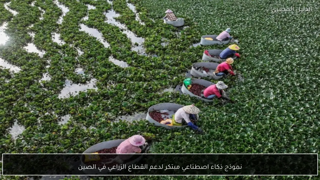 نموذج ذكاء اصطناعي مبتكر لدعم القطاع الزراعي في الصين