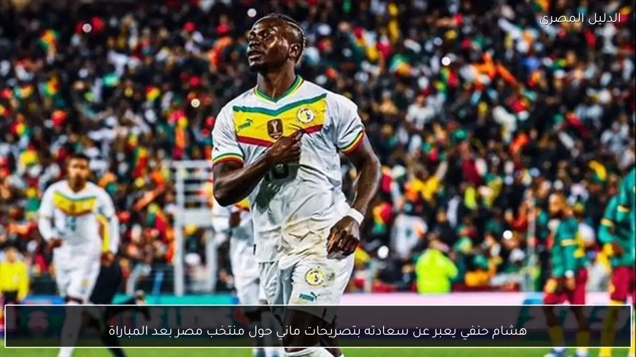 هشام حنفي يعبر عن سعادته بتصريحات ماني حول منتخب مصر بعد المباراة