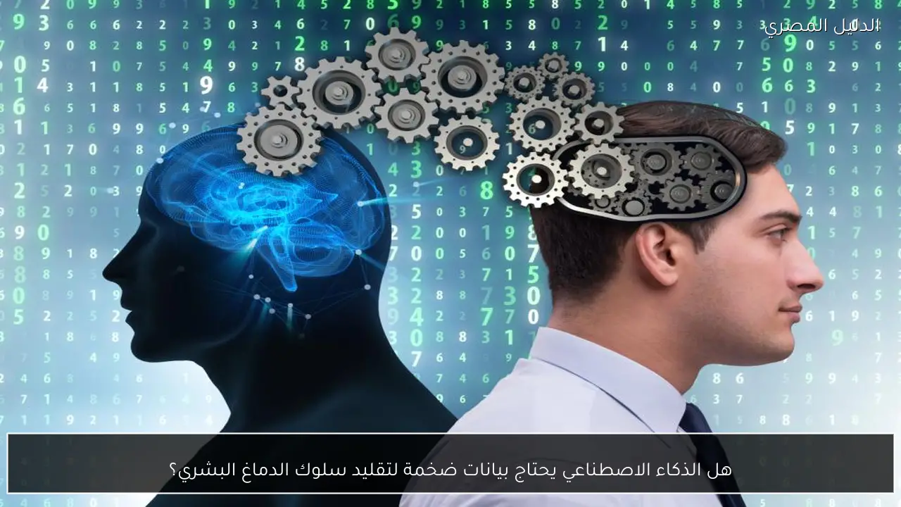 هل الذكاء الاصطناعي يحتاج بيانات ضخمة لتقليد سلوك الدماغ البشري؟