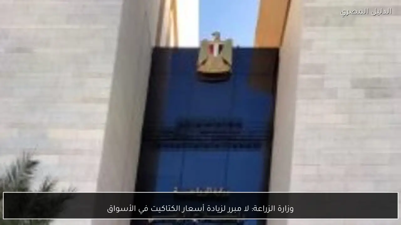 وزارة الزراعة: لا مبرر لزيادة أسعار الكتاكيت في الأسواق