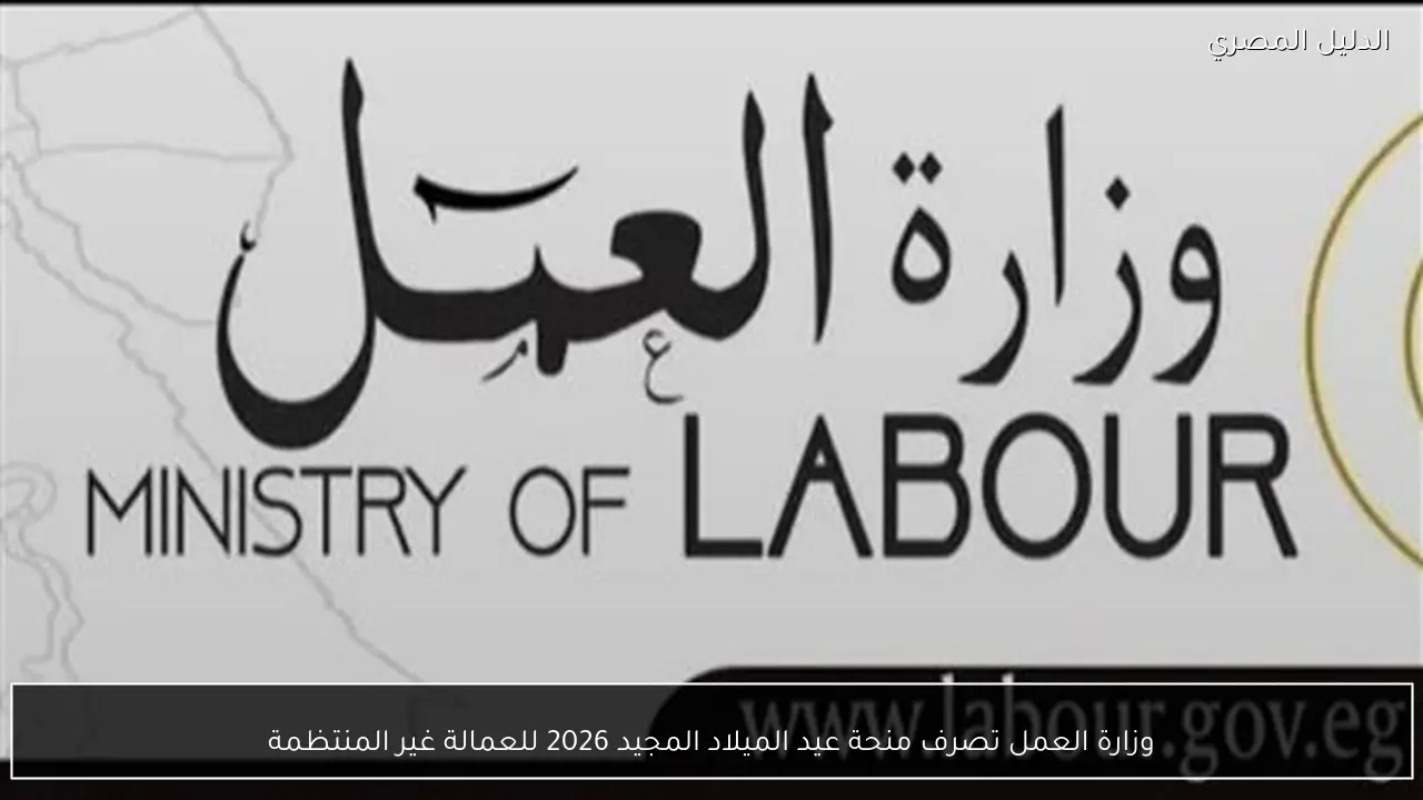 وزارة العمل تصرف منحة عيد الميلاد المجيد 2026 للعمالة غير المنتظمة