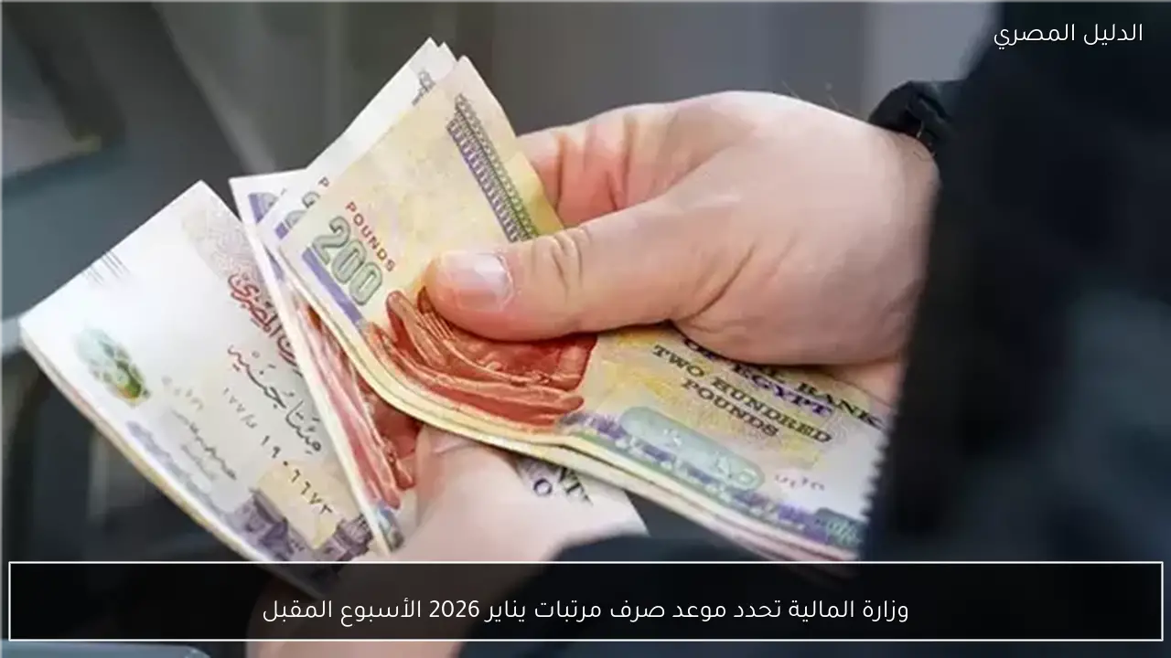 وزارة المالية تحدد موعد صرف مرتبات يناير 2026 الأسبوع المقبل