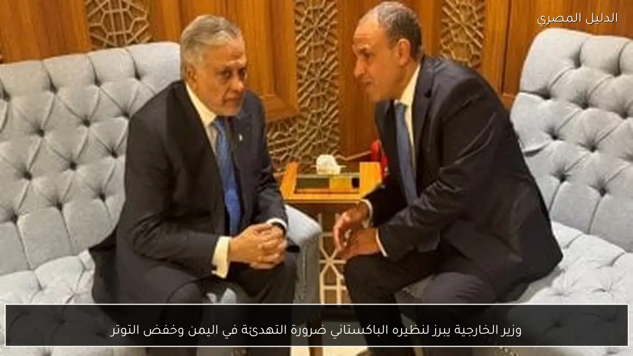 وزير الخارجية يبرز لنظيره الباكستاني ضرورة التهدئة في اليمن وخفض التوتر