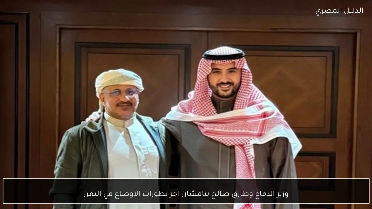 وزير الدفاع وطارق صالح يناقشان آخر تطورات الأوضاع في اليمن