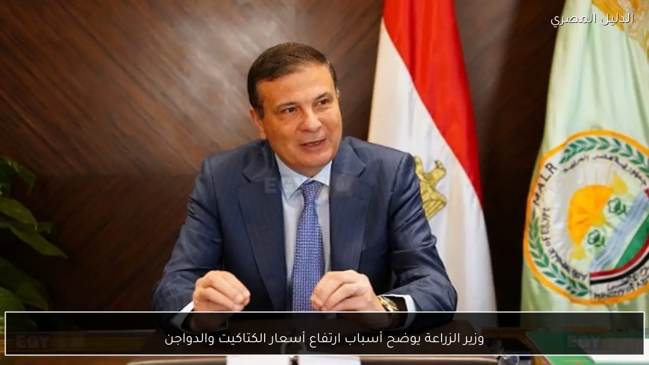 وزير الزراعة يوضح أسباب ارتفاع أسعار الكتاكيت والدواجن