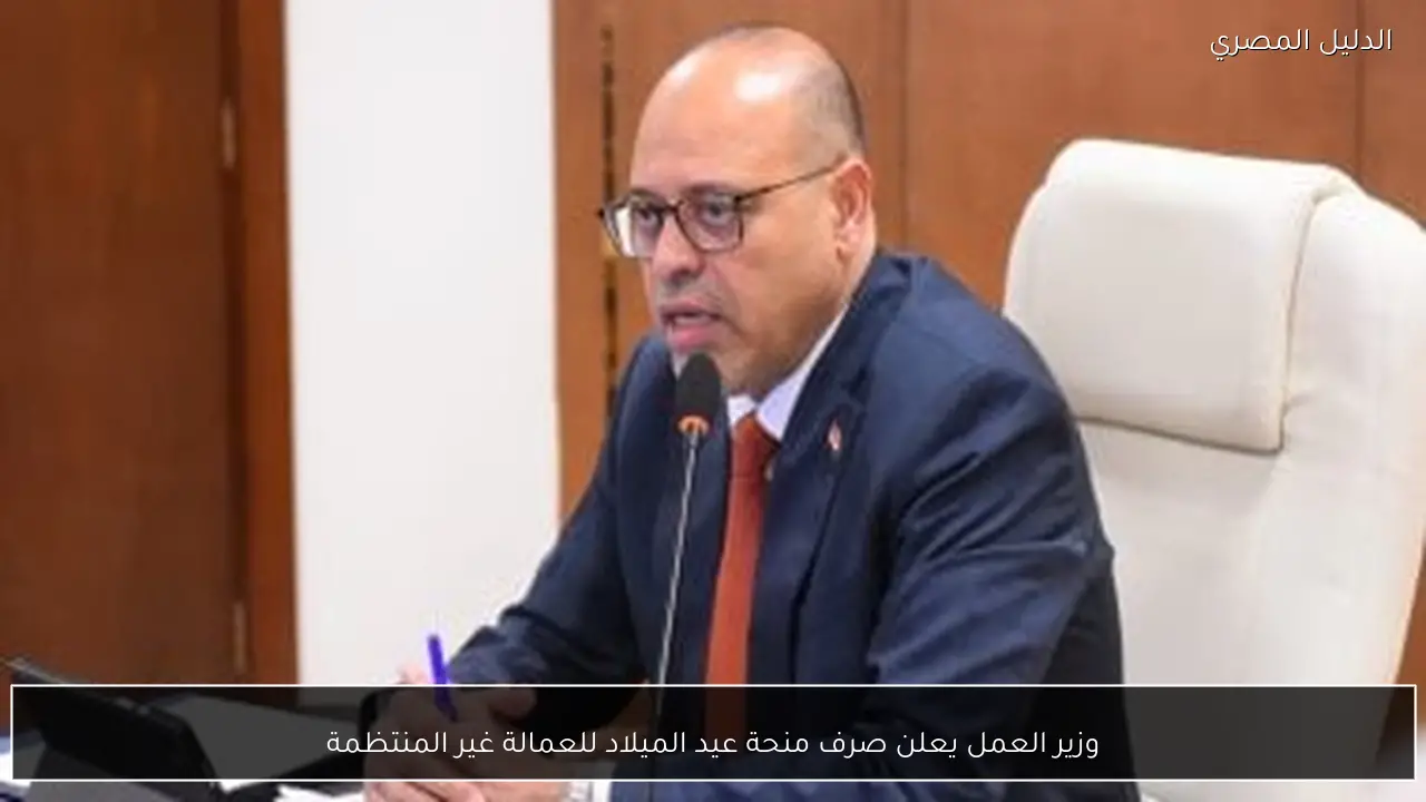 وزير العمل يعلن صرف منحة عيد الميلاد للعمالة غير المنتظمة