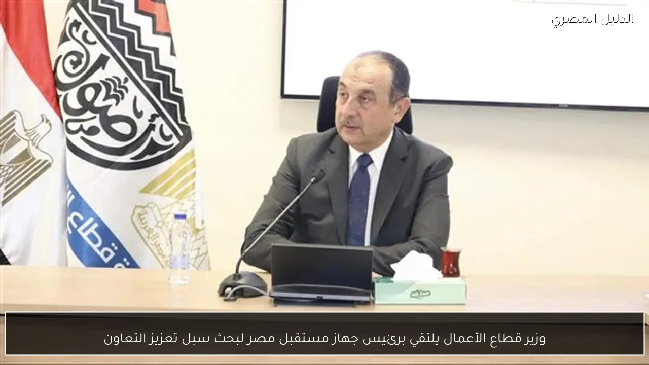 وزير قطاع الأعمال يلتقي برئيس جهاز مستقبل مصر لبحث سبل تعزيز التعاون