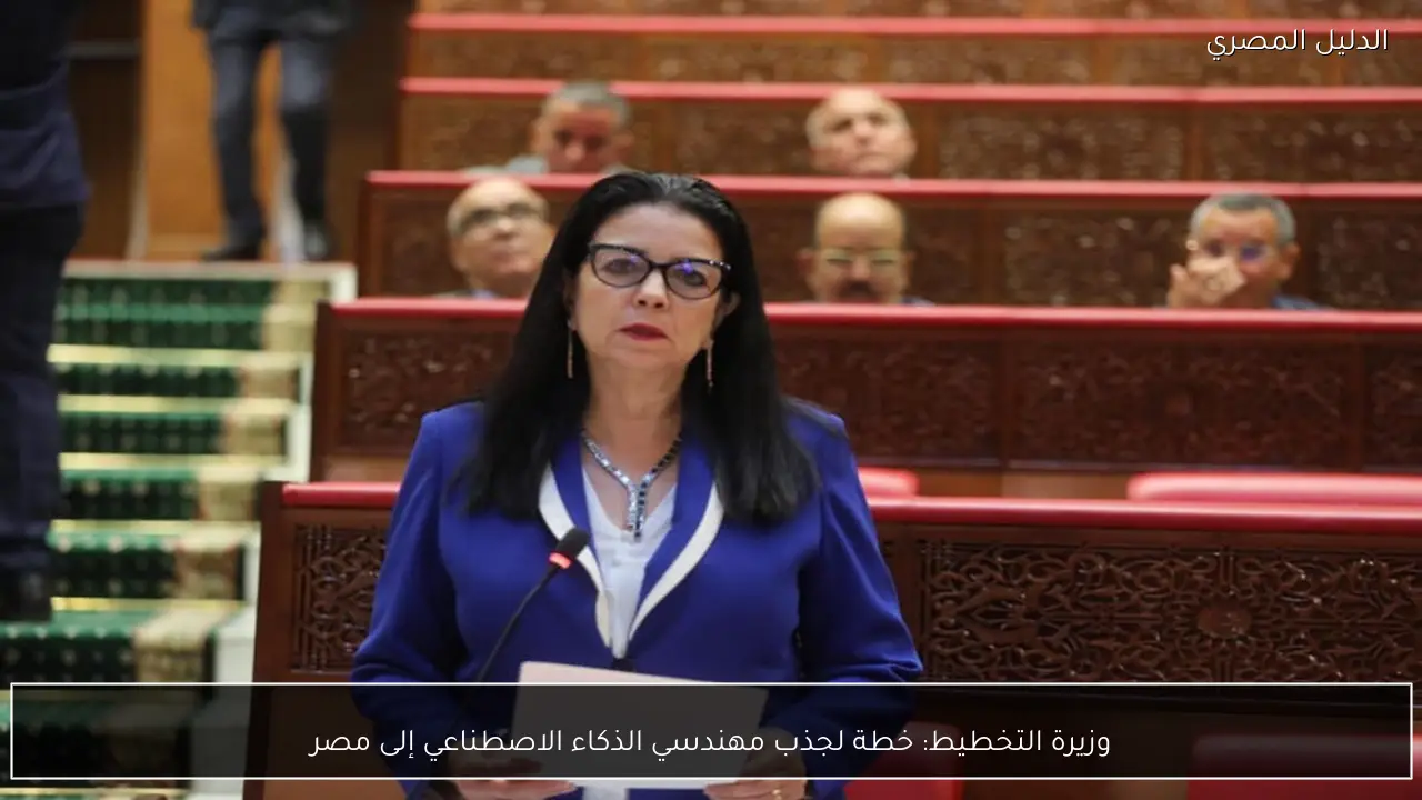 وزيرة التخطيط: خطة لجذب مهندسي الذكاء الاصطناعي إلى مصر