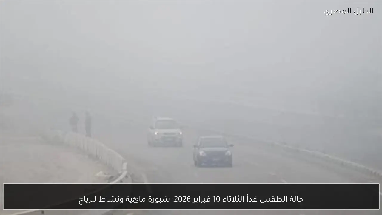 حالة الطقس غداً الثلاثاء 10 فبراير 2026: شبورة مائية ونشاط للرياح