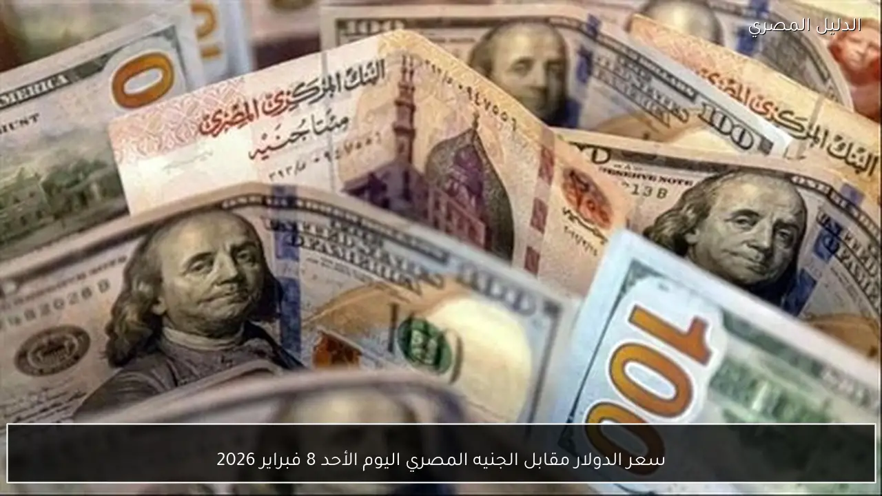سعر الدولار مقابل الجنيه المصري اليوم الأحد 8 فبراير 2026