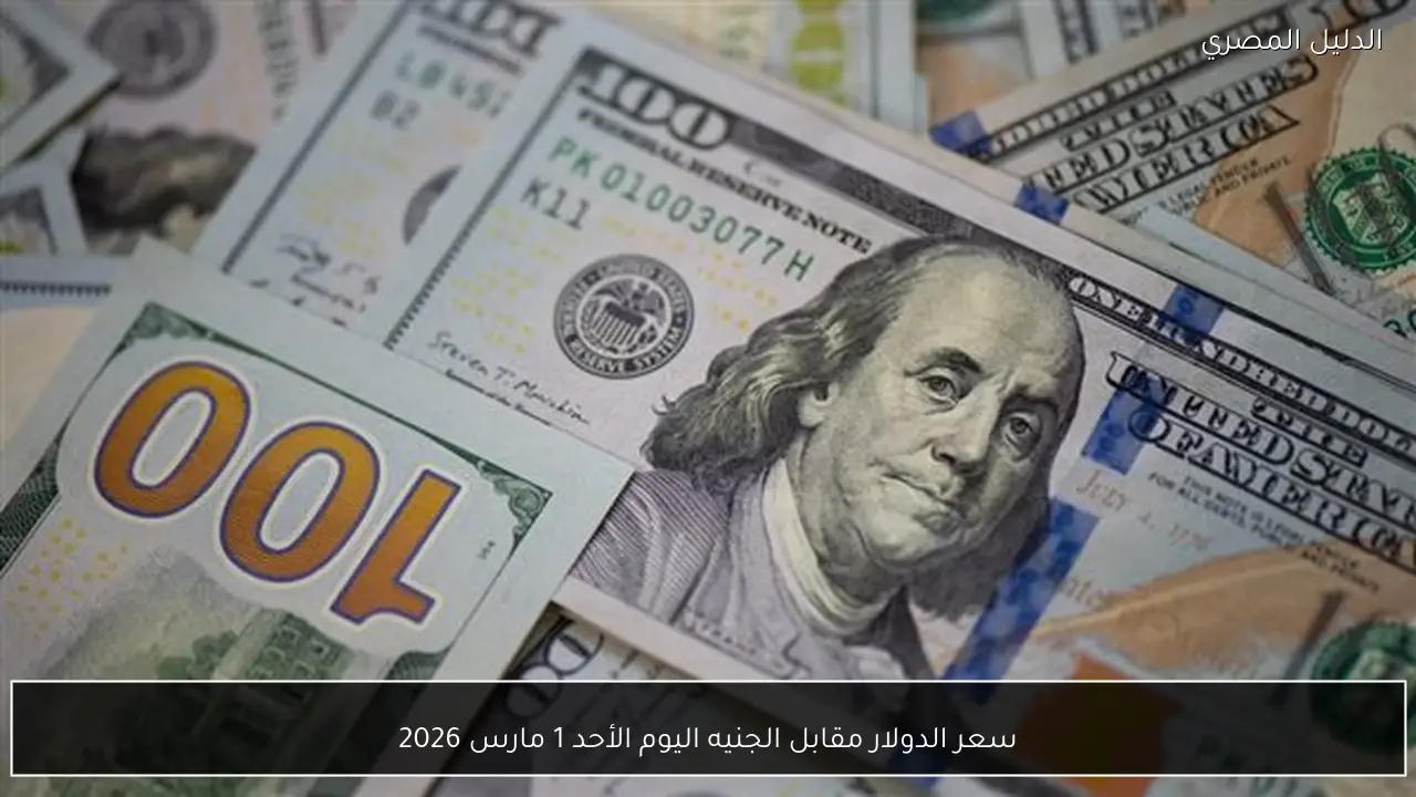سعر الدولار مقابل الجنيه اليوم الأحد 1 مارس 2026