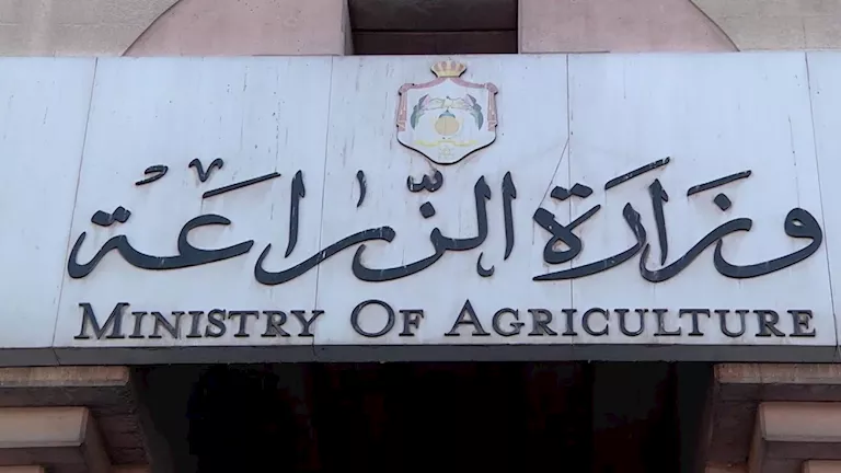 الحكومة المصرية تعلن عن فتح أسواق جديدة للعنب والبرتقال وشتلات الفراولة في أمريكا اللاتينية