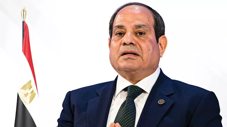الرئيس السيسي يؤكد على أهمية التعاون بين الدول الإفريقية خلال مؤتمر رسمي