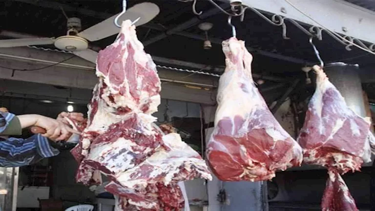 شعبة القصابين تؤكد: هامش ربح الجزار لا يتجاوز 7% لكل كيلو