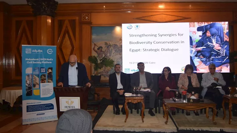وزارة البيئة تطلق ورشة عمل جديدة بالشراكة مع “القومي للمرأة” لتعزيز التنمية المستدامة