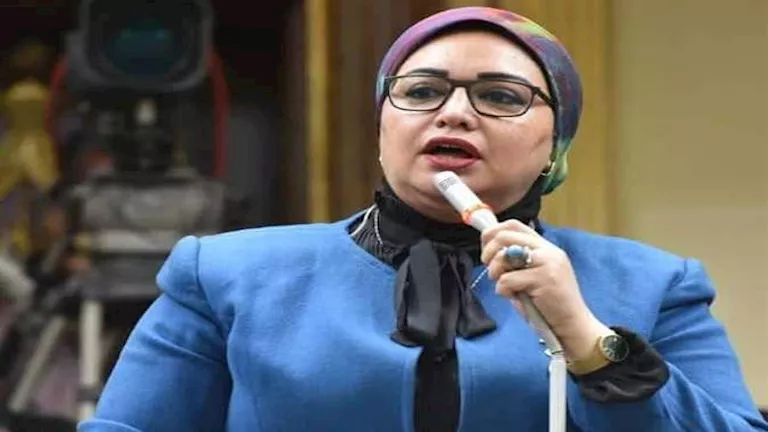وزارة الصناعة تناقش خطة تسويق عالمية لتعزيز علامة “صنع في مصر”